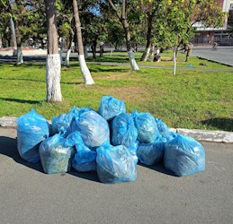 Депутаты и сотрудники аппарата Саратовской городской Думы приняли участие в субботнике